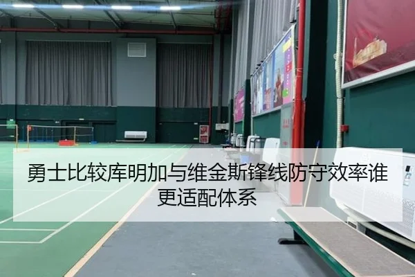 勇士比较库明加与维金斯锋线防守效率谁更适配体系